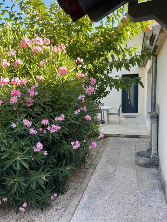 Petite Maison Pres Du Centre LʼIsle-sur-la-Sorgue Exterior foto